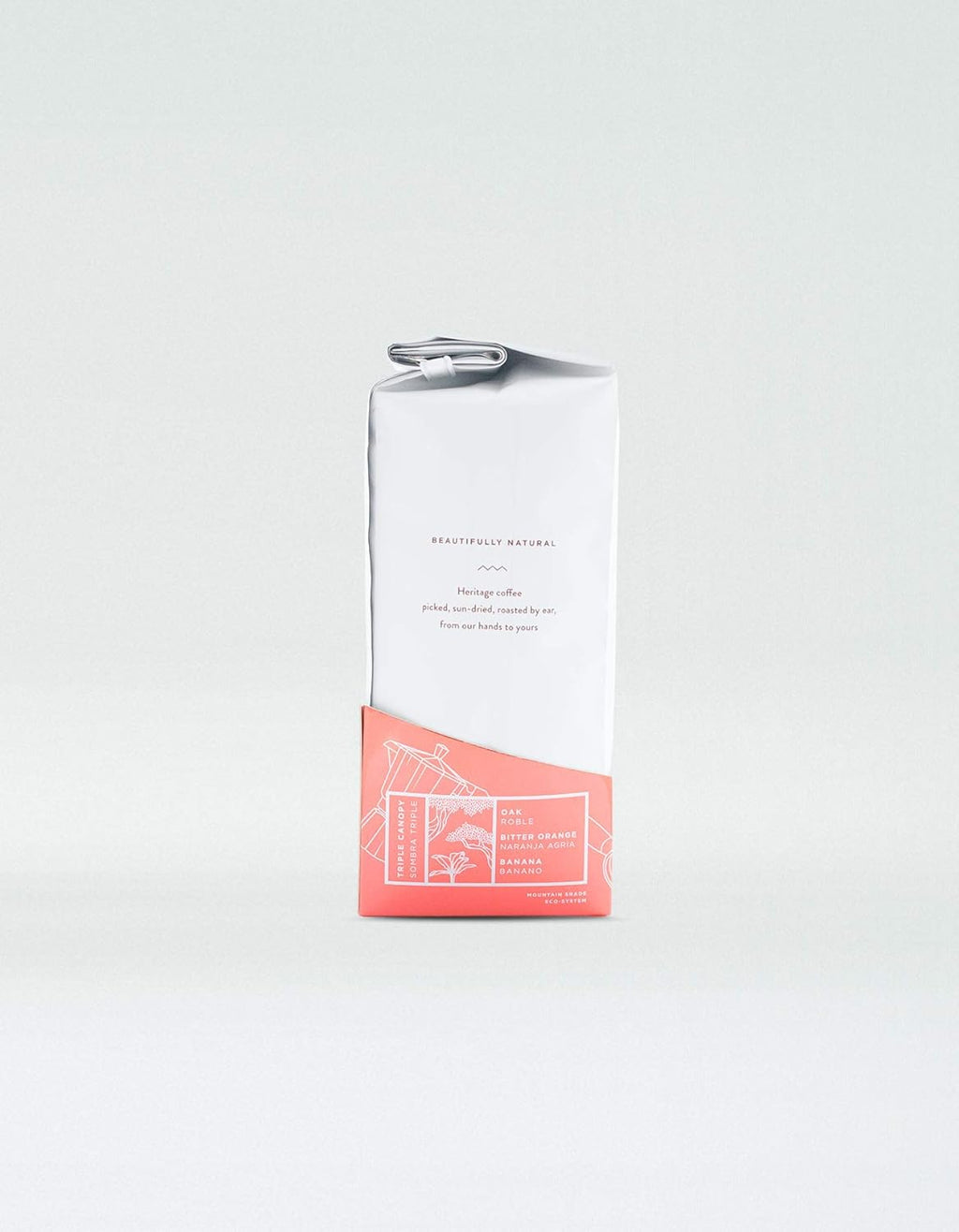 Twin Engine Coffee ESPRESSO - Espresso Roast, Whole Bean, Nicaraguan Coffee, 400g 14.1oz | Rich Specialty Grade Coffee packaged at the source | Nicaragua's Coffee