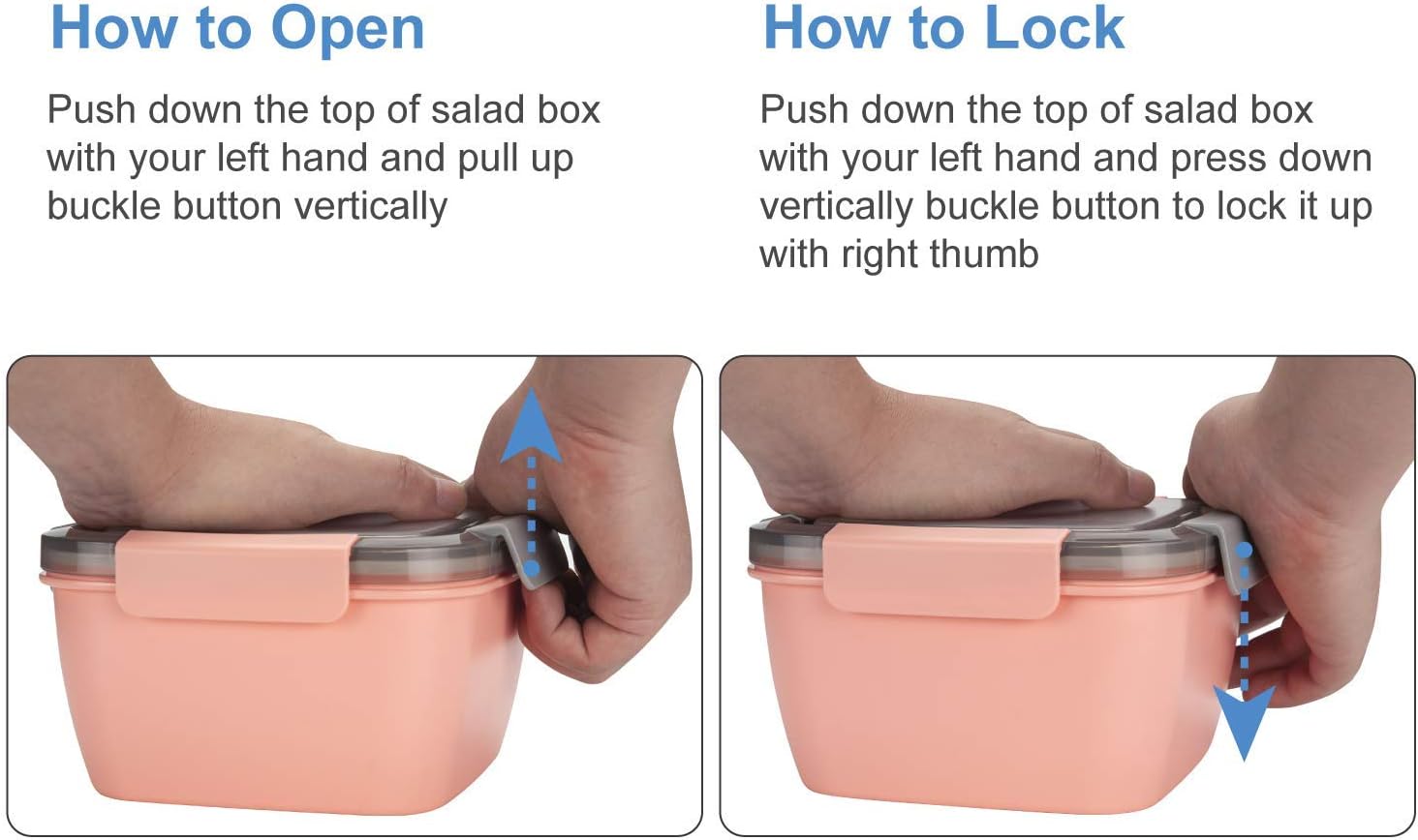 Freshmage 2 Pack Salad Lunch Containers & Snackle Box Containers