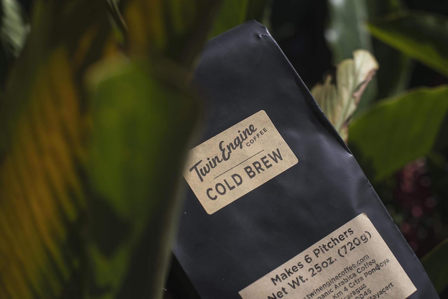 Cold Brew Coffee, Dark Roast by Twin Engine Coffee
