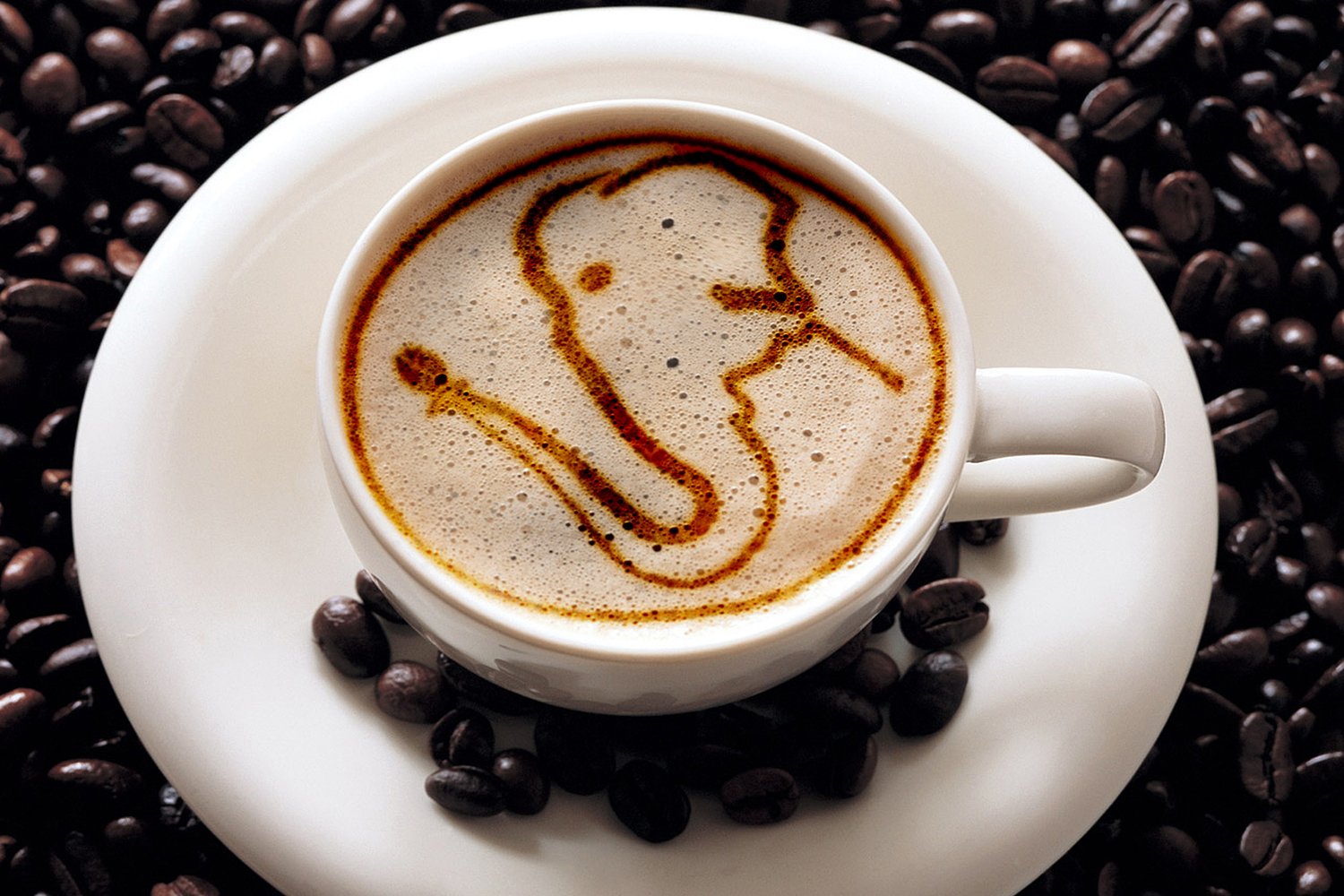 Twin Engine Coffee, ELEFANTE RESERVE Limited Edition, Whole Bean, Nicaragua's Coffee, 300g 10.6oz.