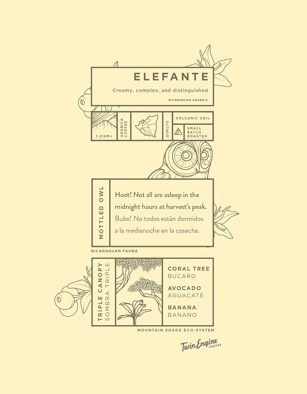 Twin Engine Coffee, ELEFANTE RESERVE Limited Edition, Whole Bean, Nicaragua's Coffee, 300g 10.6oz.