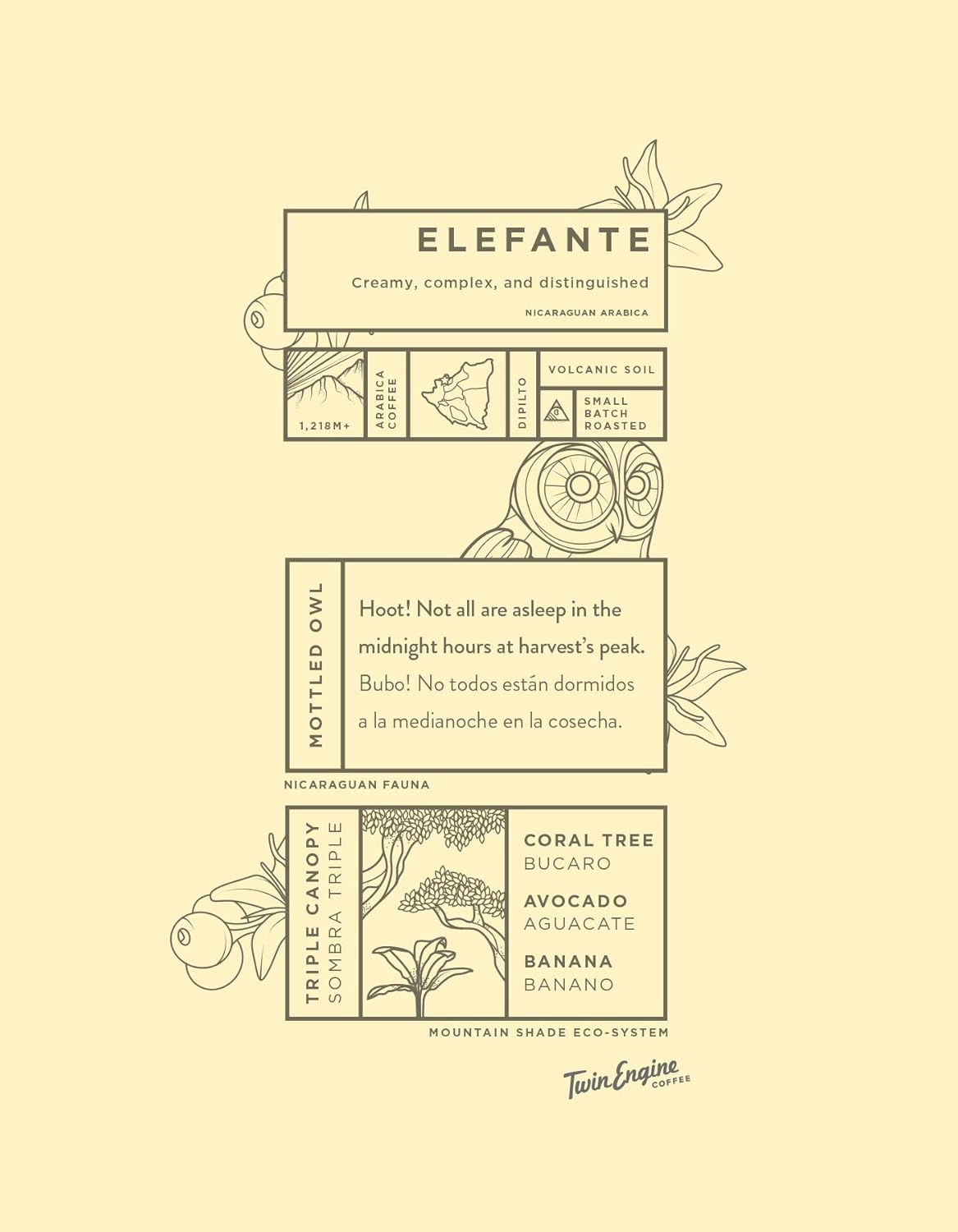 Twin Engine Coffee, ELEFANTE RESERVE Limited Edition, Whole Bean, Nicaragua's Coffee, 300g 10.6oz.