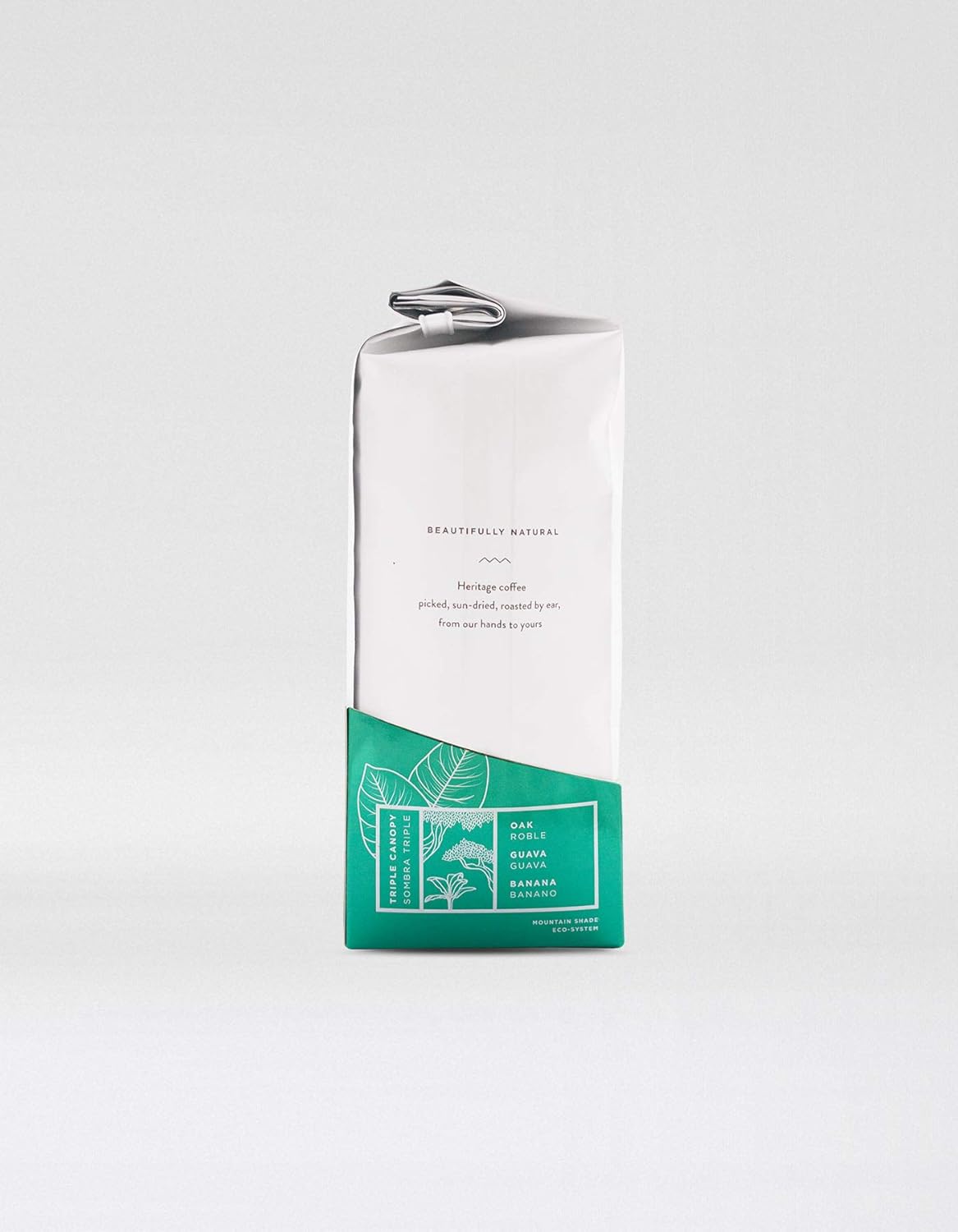 Twin Engine Coffee NICARAGUAN CIGAR BLEND #1 - Dark Roast, Whole Bean, Nicaraguan Coffee, 400g 14.1oz | Rich Specialty Grade Coffee packaged at the source | Nicaragua's Coffee