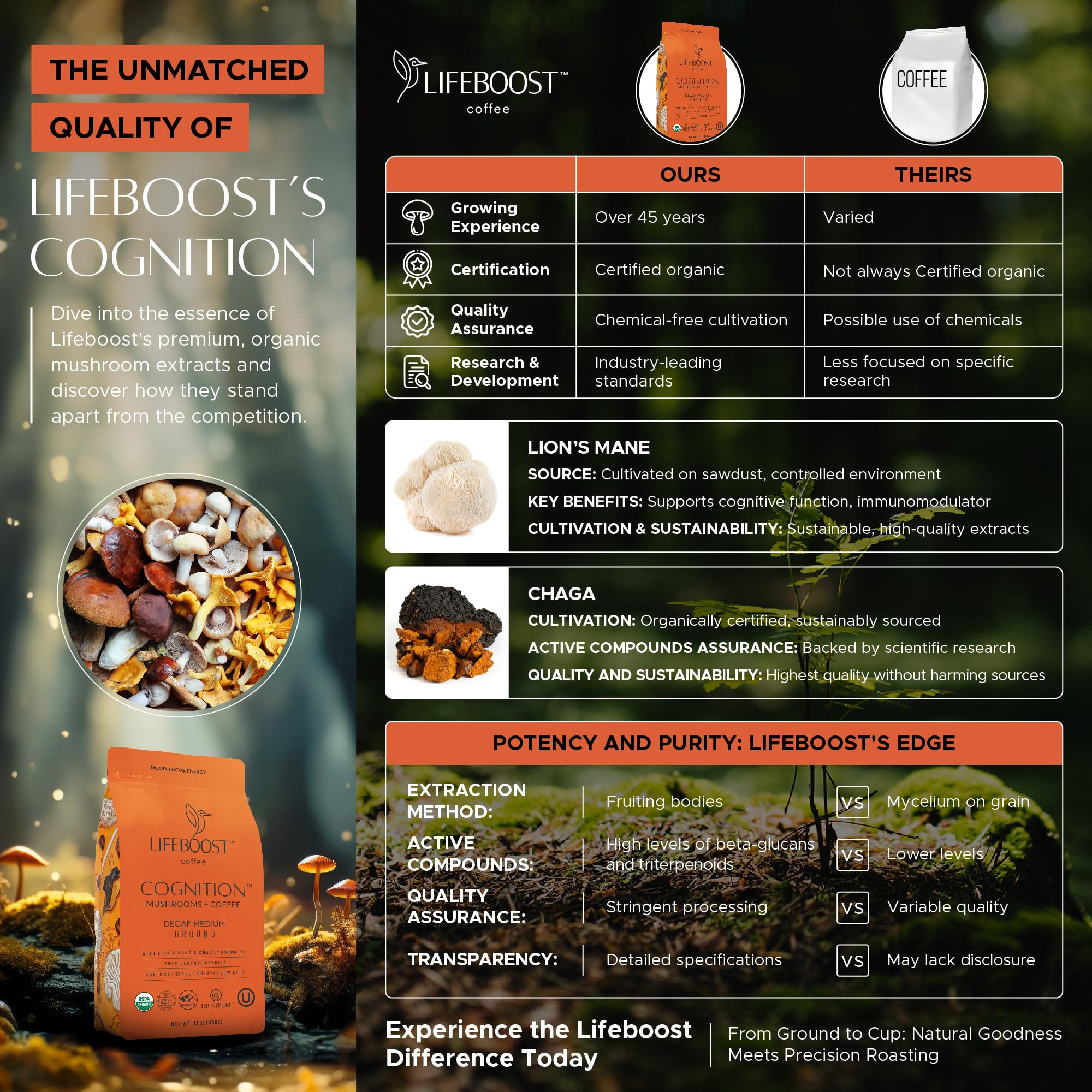 Lifeboost Cognition Adaptogenic Mushroom Coffee - Great Tasting Organic Lions Mane & Chaga Medium Roast Nootropic Coffee - Increase Energy, Boost Focus & Immune Support - 12 oz Bag - Ground