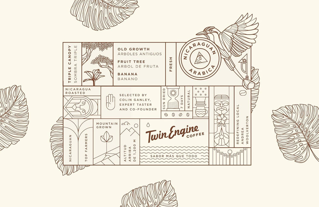 TWIN ENGINE COFFEE - HONEY-BEAR Reserve, Limited Edition, 100% Nicaraguan Arabica Coffee, Medium Roast, Ground, 10.6oz (300g) - Certified Organic USDA, Fair Trade, Specialty Grade - Drip, French Press