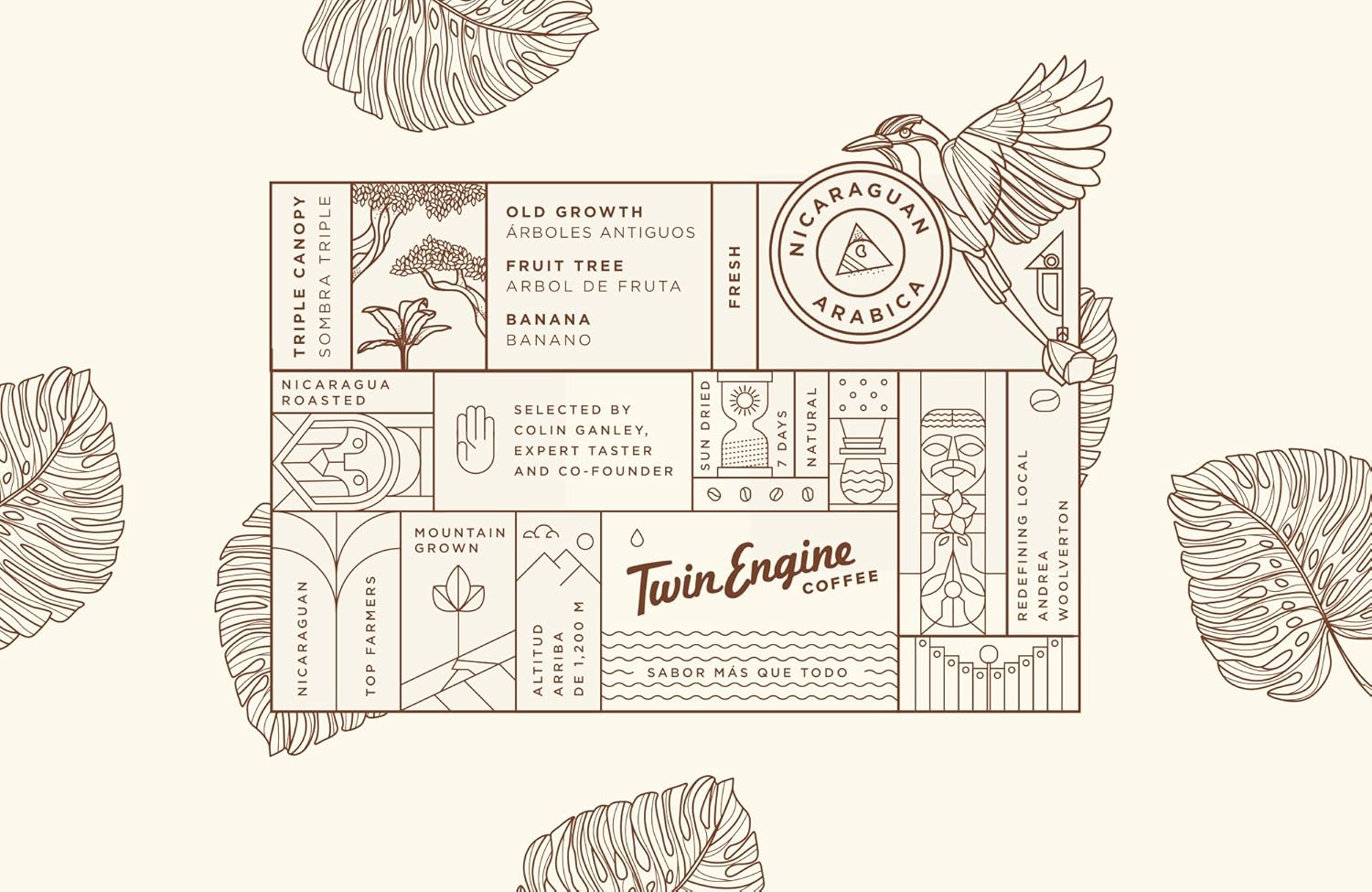 TWIN ENGINE COFFEE - HONEY-BEAR Reserve, Limited Edition, 100% Nicaraguan Arabica Coffee, Medium Roast, Ground, 10.6oz (300g) - Certified Organic USDA, Fair Trade, Specialty Grade - Drip, French Press