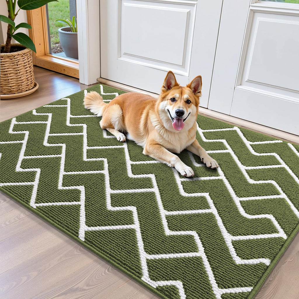 OLANLY Front Door Mat, Non-Slip Rubber Backing, Dirt Resistant and Absorbent, Washable, Easy to Clean Low-Profile Indoor Doormat for Back Door, Entryway, Inside Entrance, 32x20, Grey