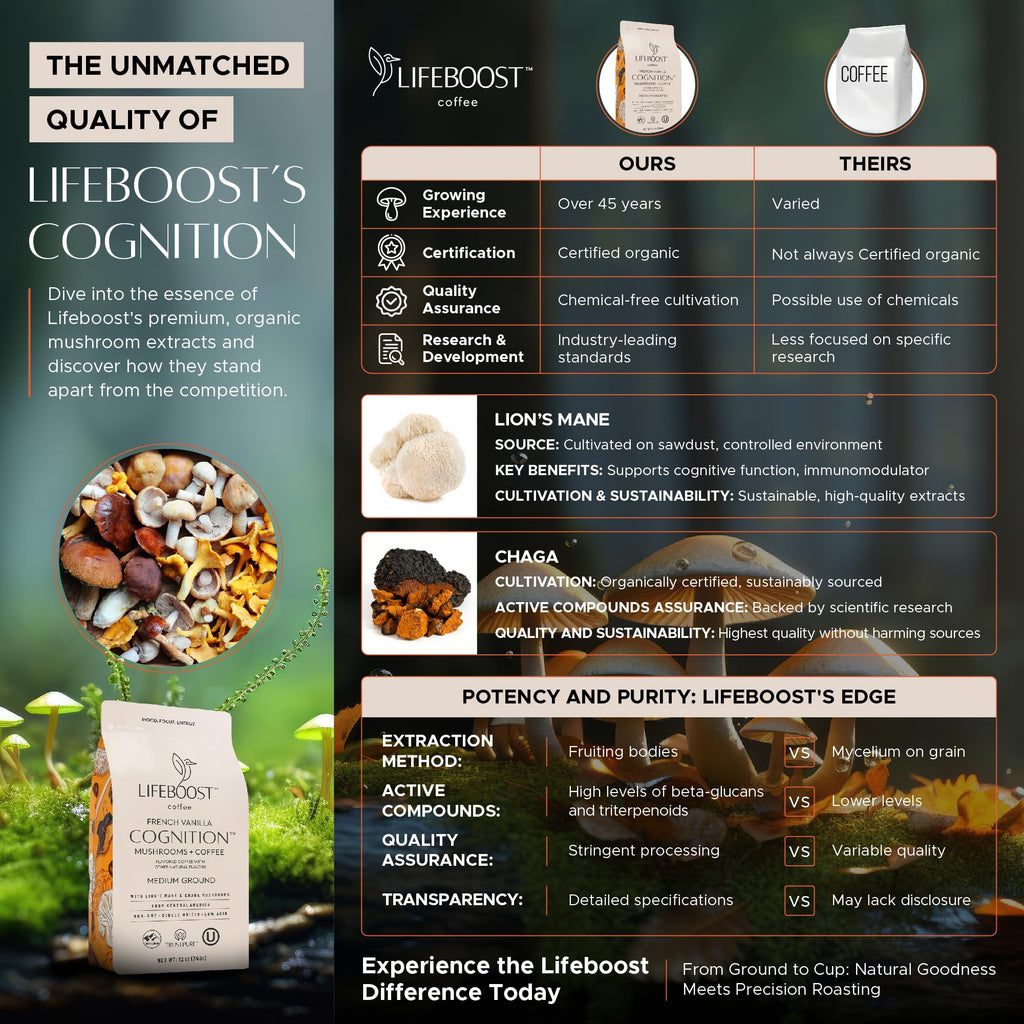Lifeboost Cognition Adaptogenic Mushroom Coffee - Great Tasting Organic Lions Mane & Chaga Medium Roast Nootropic Coffee - Increase Energy, Boost Focus & Immune Support - 12 oz Bag - Ground