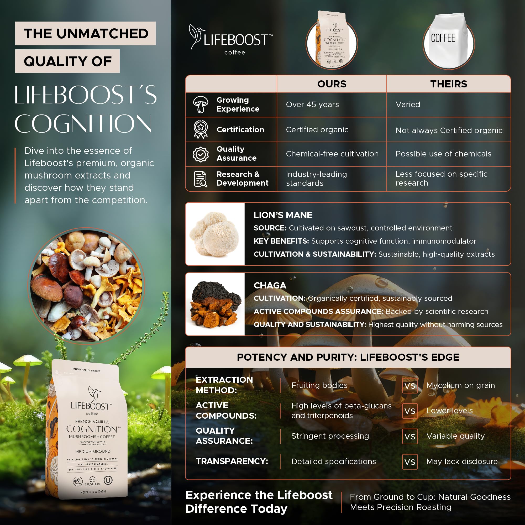 Lifeboost Cognition Adaptogenic Mushroom Coffee - Great Tasting Organic Lions Mane & Chaga Medium Roast Nootropic Coffee - Increase Energy, Boost Focus & Immune Support - 12 oz Bag - Ground