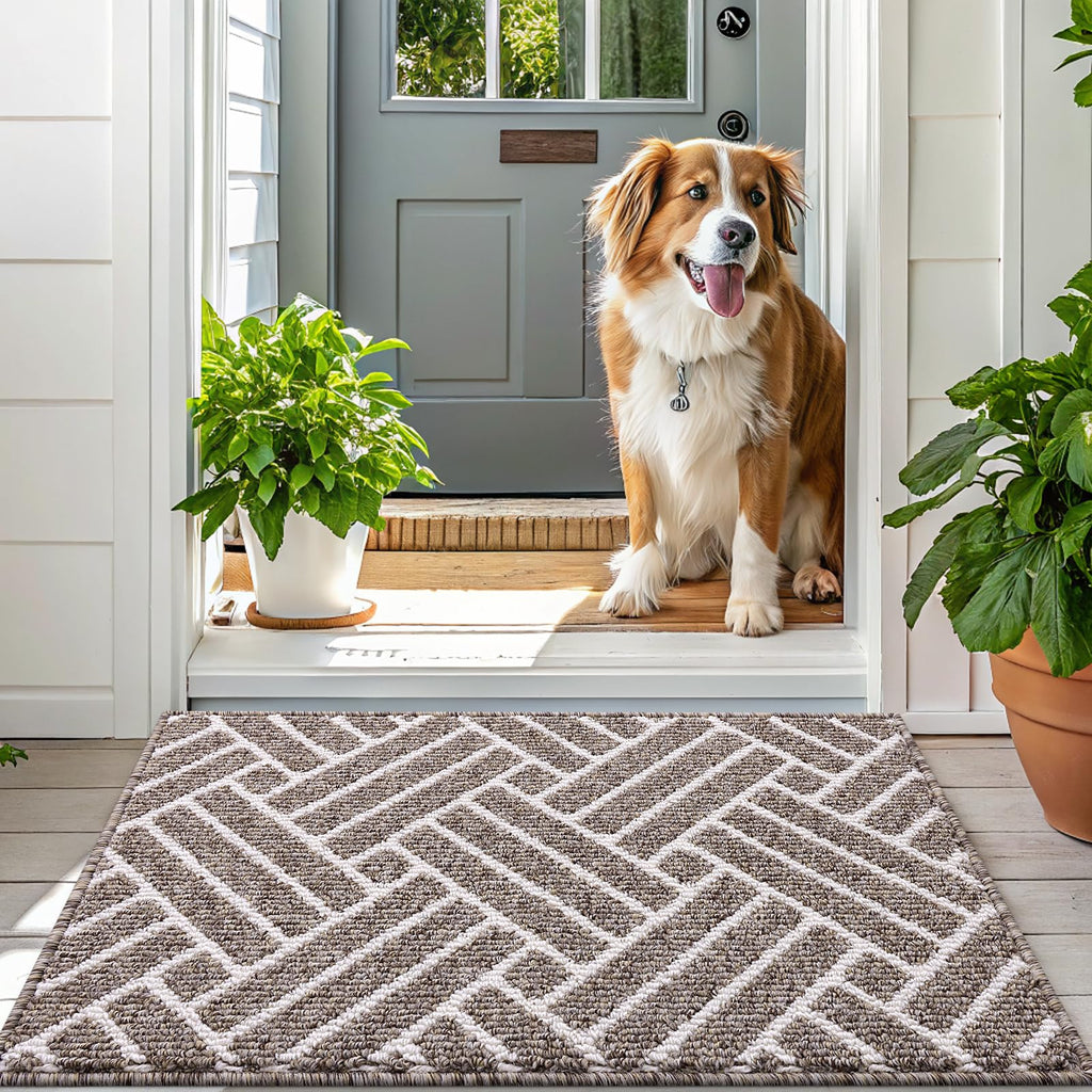 OLANLY Indoor Door Mat, 32x20 Inch, Dirt Resistant and Absorbent, Non-Slip Rubber Backing Floor Mats, Easy Clean Low-Profile Doormat for Entryway, Front Door, and Inside Entrance, Grey
