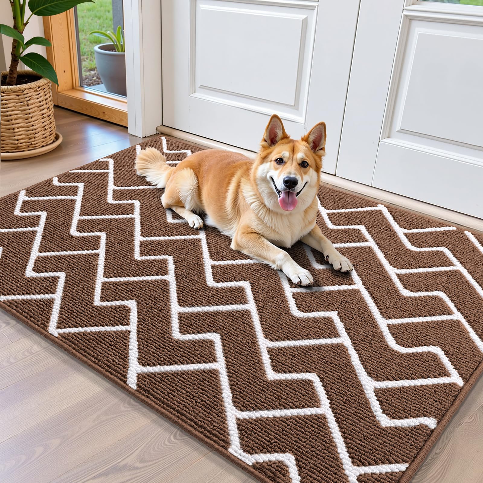 OLANLY Front Door Mat, Non-Slip Rubber Backing, Dirt Resistant and Absorbent, Washable, Easy to Clean Low-Profile Indoor Doormat for Back Door, Entryway, Inside Entrance, 32x20, Grey