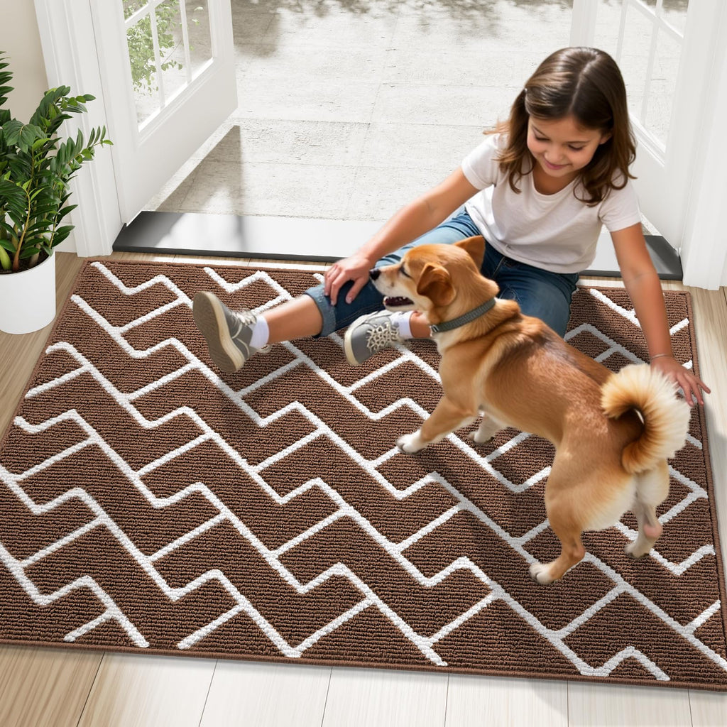 OLANLY Front Door Mat, Non-Slip Rubber Backing, Dirt Resistant and Absorbent, Washable, Easy to Clean Low-Profile Indoor Doormat for Back Door, Entryway, Inside Entrance, 32x20, Grey