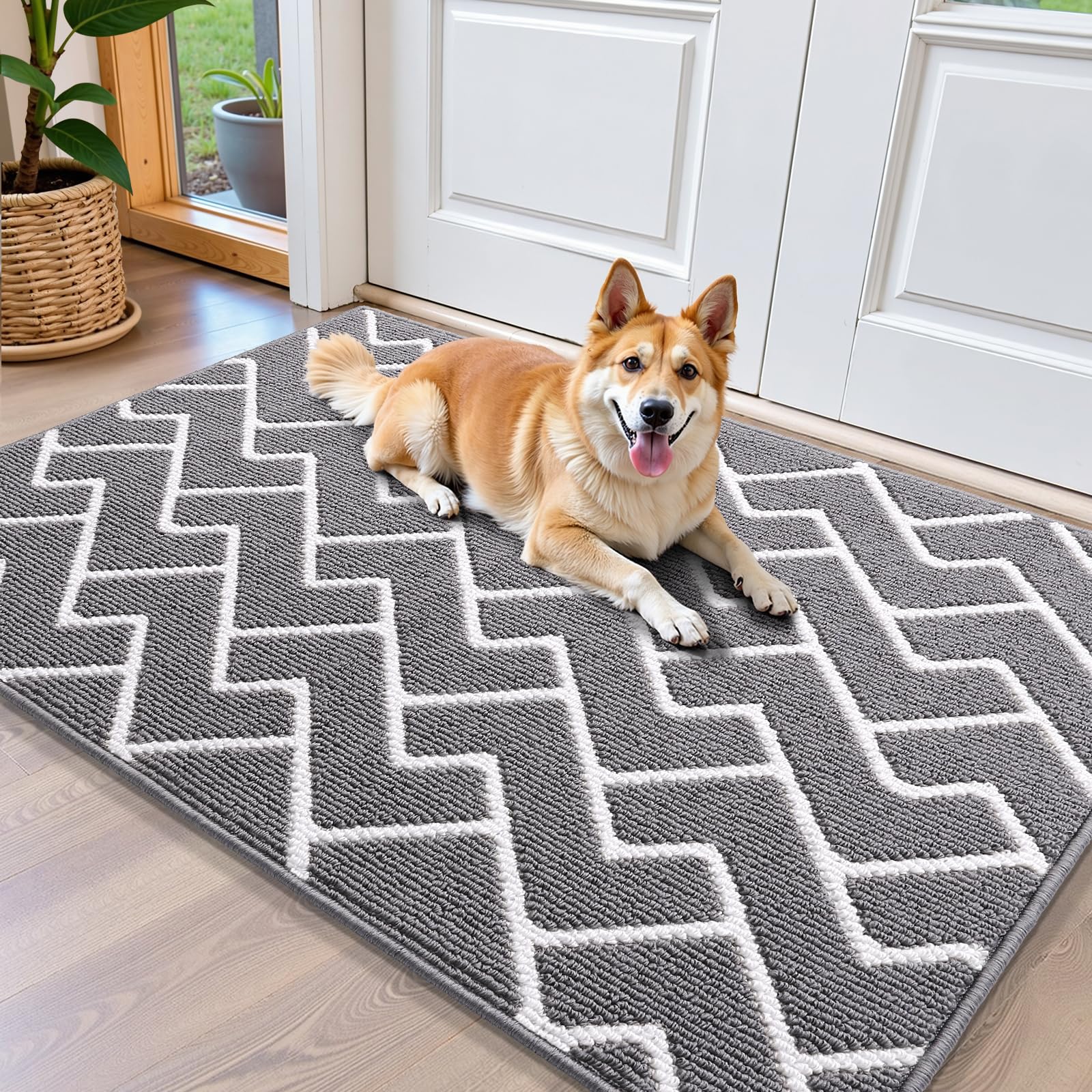 OLANLY Front Door Mat, Non-Slip Rubber Backing, Dirt Resistant and Absorbent, Washable, Easy to Clean Low-Profile Indoor Doormat for Back Door, Entryway, Inside Entrance, 32x20, Grey