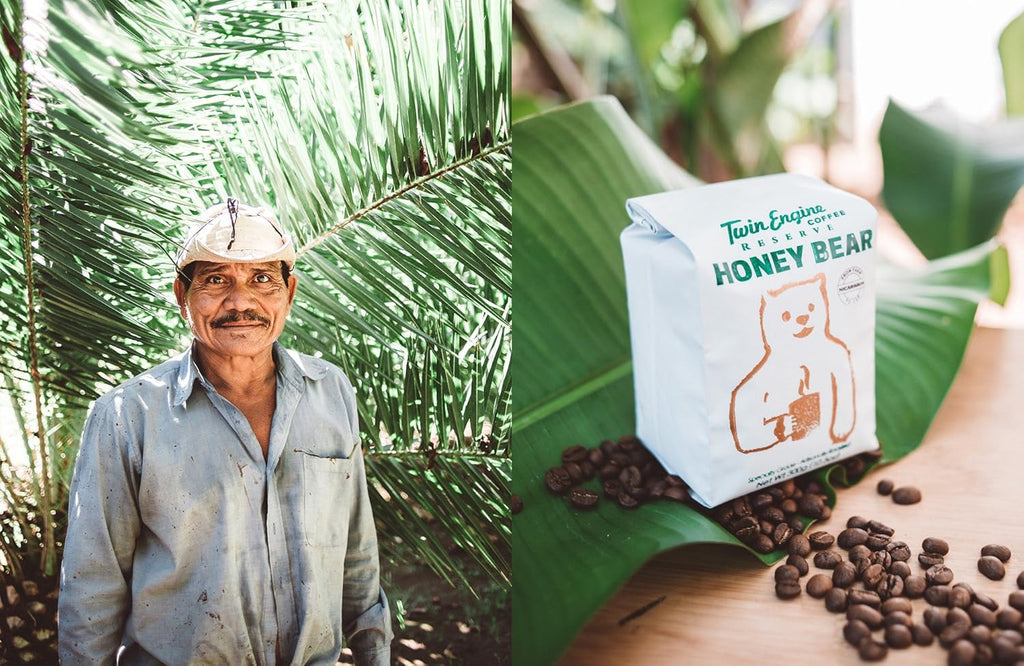 TWIN ENGINE COFFEE - HONEY-BEAR Reserve, Limited Edition, 100% Nicaraguan Arabica Coffee, Medium Roast, Ground, 10.6oz (300g) - Certified Organic USDA, Fair Trade, Specialty Grade - Drip, French Press