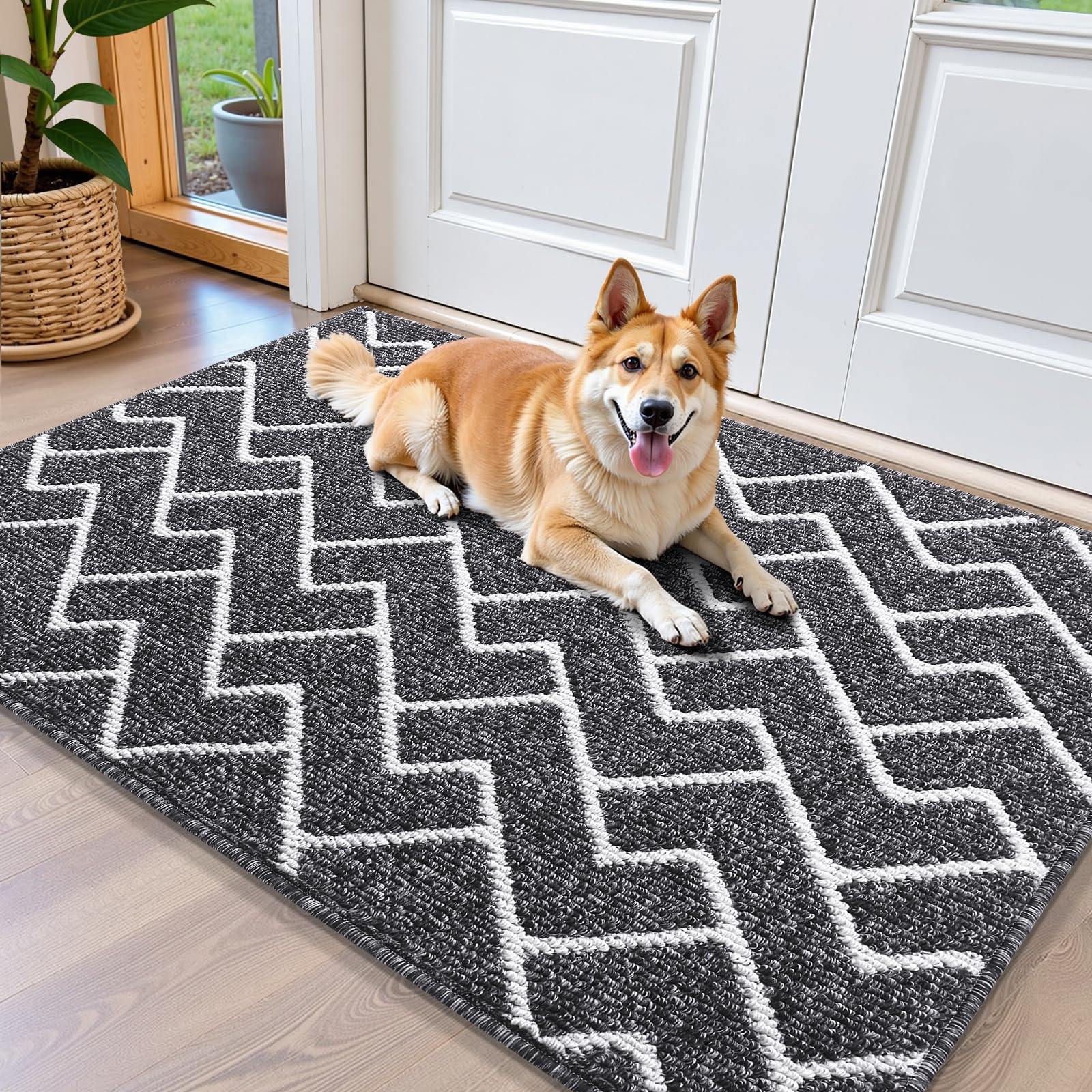 OLANLY Front Door Mat, Non-Slip Rubber Backing, Dirt Resistant and Absorbent, Washable, Easy to Clean Low-Profile Indoor Doormat for Back Door, Entryway, Inside Entrance, 32x20, Grey